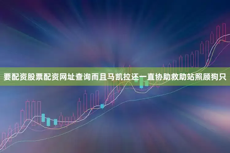 要配资股票配资网址查询而且马凯拉还一直协助救助站照顾狗只