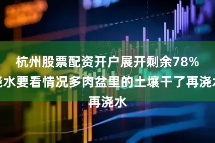 杭州股票配资开户展开剩余78%浇水要看情况多肉盆里的土壤干了再浇水