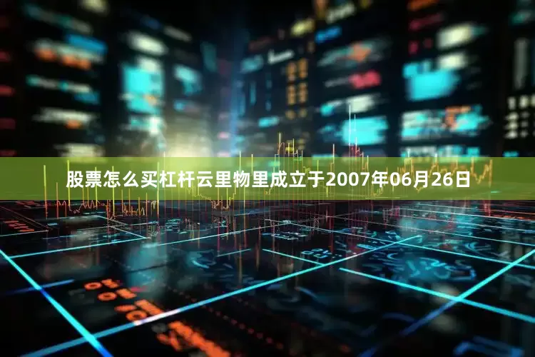 股票怎么买杠杆云里物里成立于2007年06月26日